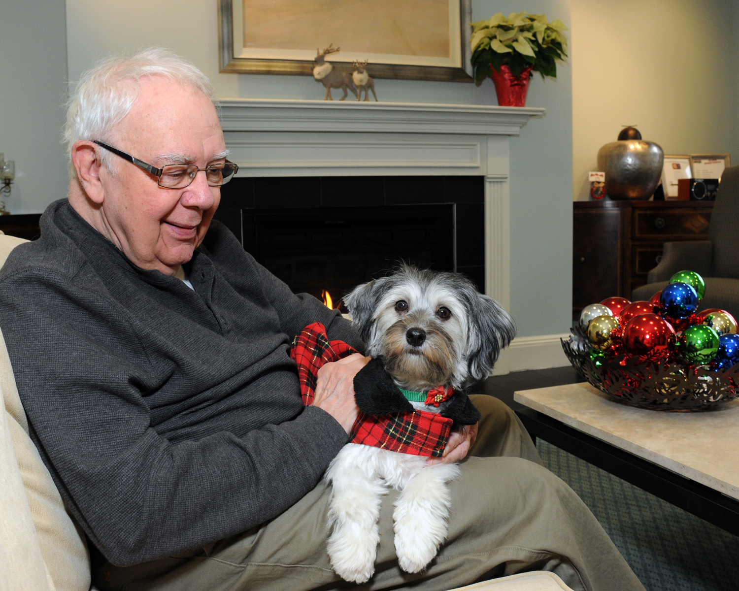 Pet Therapy: A Perfect Holiday Gift!